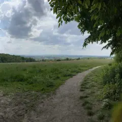 Las Wolski trasy rowerowe - odkryj różnorodność i piękno tras