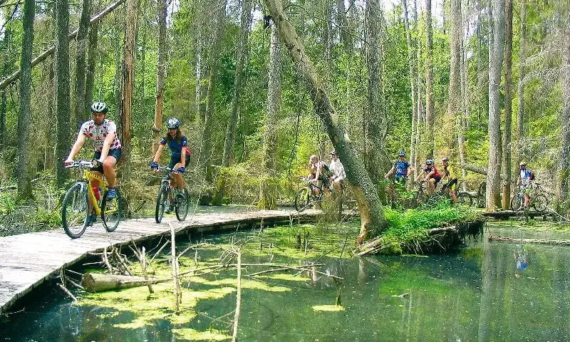 Biebrzański Park Narodowy: najlepsze trasy rowerowe i ich atrakcje