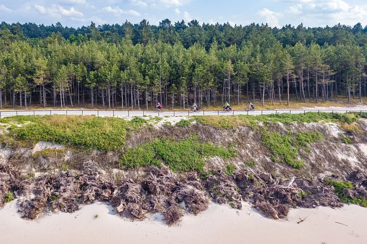 Rowerzyści przemierzają malowniczą wiślaną trasę rowerową, otoczoną lasem sosnowym i piaszczystym wybrzeżem.
